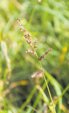 Screenshot 2024-05-08 092937.png © Egger, Bildaufnahme vom 2.Oktober 2022 Screenshot 2024-05-08 092937.png © Egger, Bildaufnahme vom 2.Oktober 2022