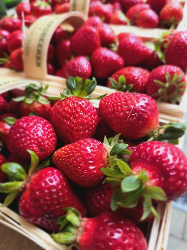 Erdbeeren_Wiesen_2024.jpg © Archiv