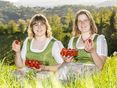 Obsthoheiten mit Erdbeeren © LK Steiermark/Foto Fischer