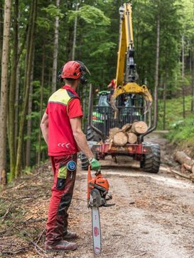 Die Einschlagsmenge ist gegenüber dem Vorjahr gesunken, der Schadholzanteil hat zugenommen. © LK OÖ