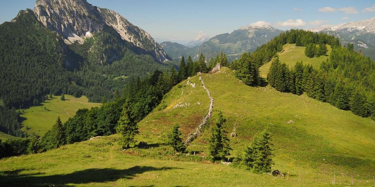 Regionaler Naturschutzplan in Oberösterreich.jpg