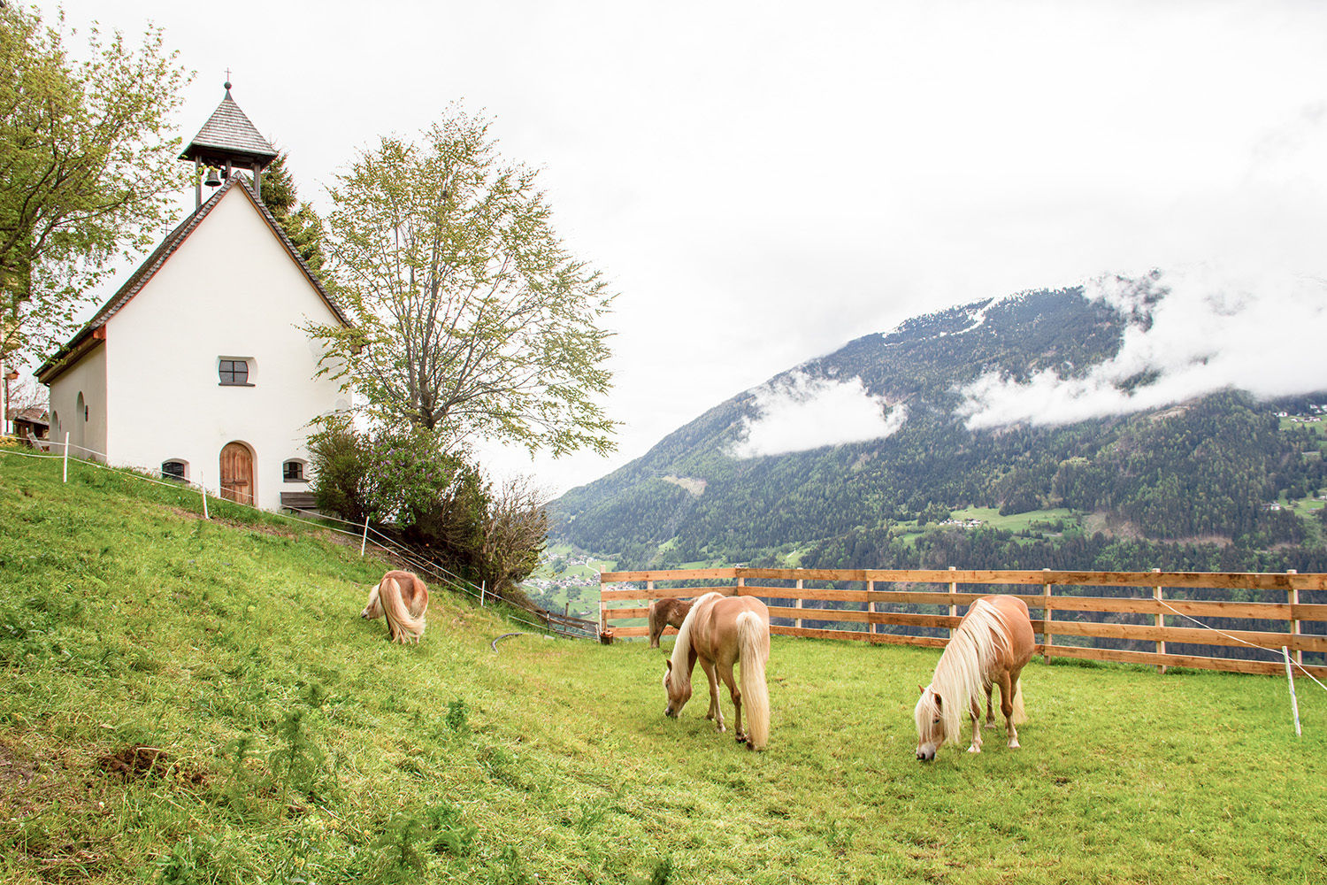 _MG_1477-Verbessert-NR_1 Kopie.jpg © LK Tirol _MG_1477-Verbessert-NR_1 Kopie.jpg © LK Tirol