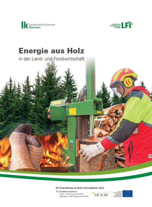 Cover Broschüre Energie aus Holz © LK Österreich / LFI