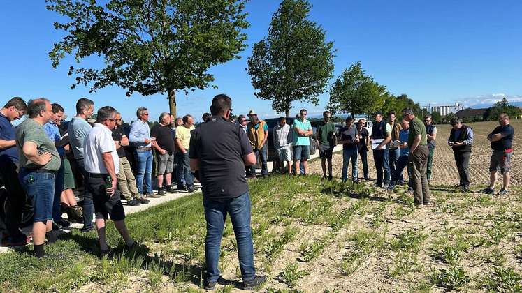 Feldbegehung Arbeitskreise Boden.Wasser.Schutz Kirchberg Thening und Leonding, 14. Mai 2024