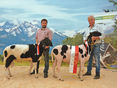 Großartige  Zuchtarbeit wurde sichtbar © Salzburger Landesverband für Schafe und Ziegen