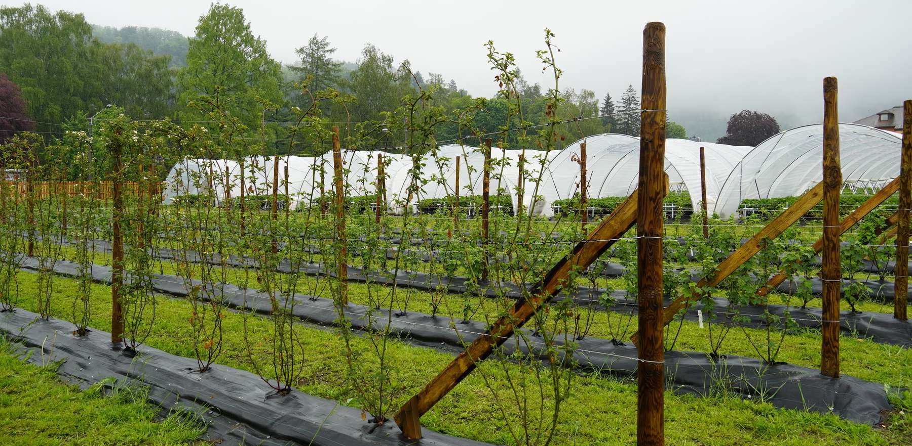 sb20_mt_anlage.jpg © Dürnberger sb20_mt_anlage.jpg © Dürnberger