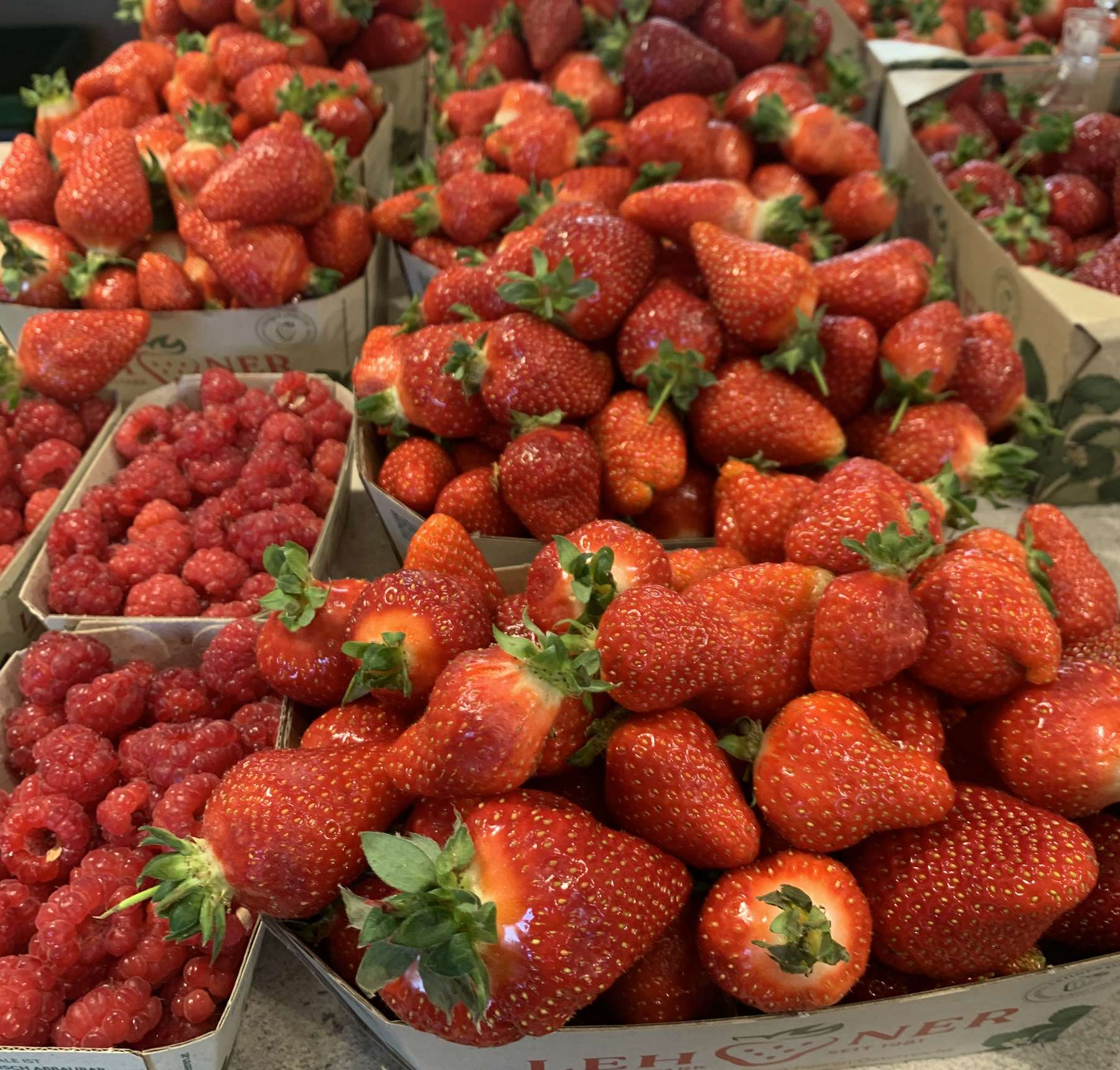 sb20_mt_beeren.jpg © Dürnberger sb20_mt_beeren.jpg © Dürnberger