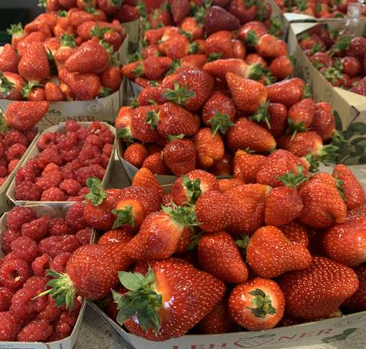 sb20_mt_beeren.jpg © Dürnberger sb20_mt_beeren.jpg © Dürnberger