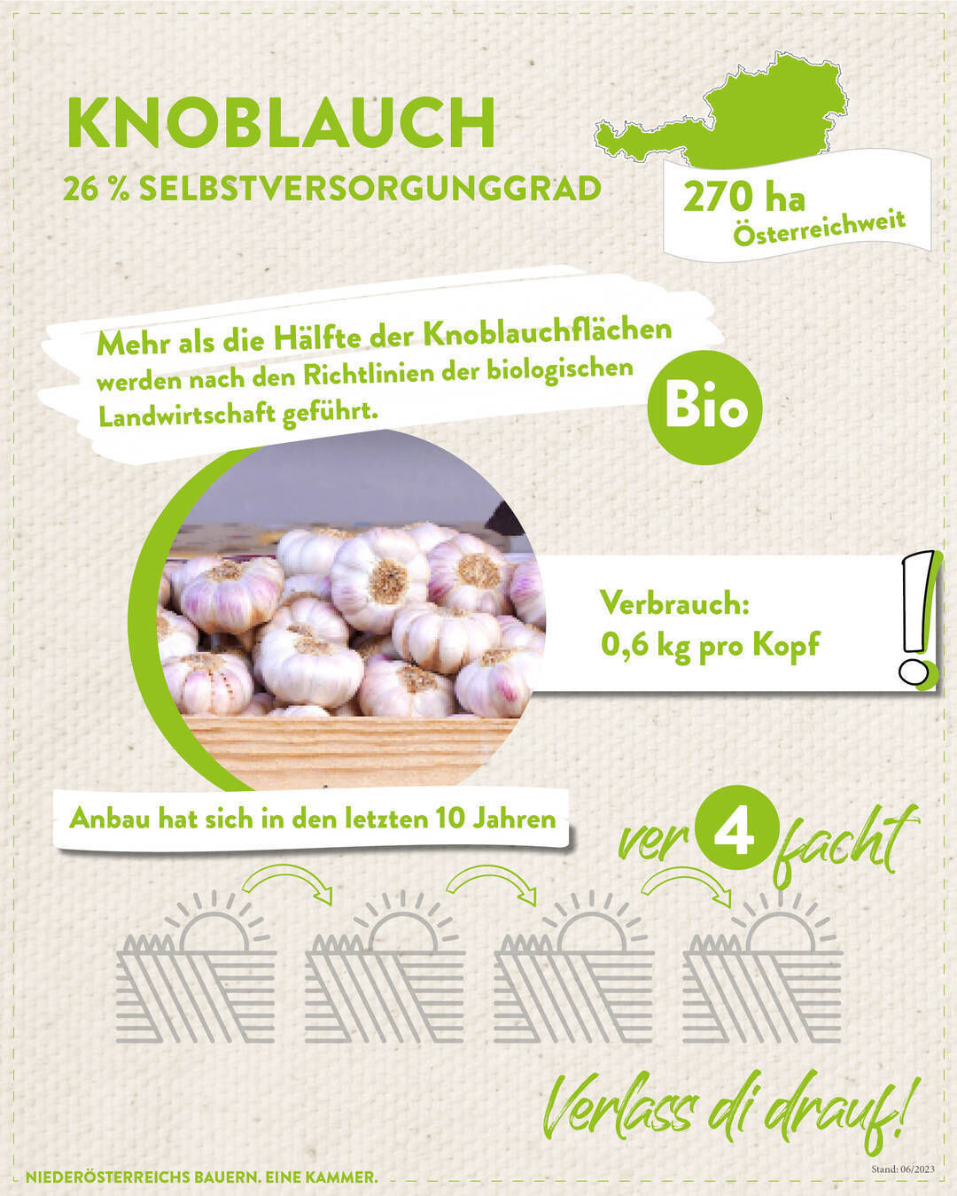 Knoblauch_2023.jpg © LK Niederösterreich Knoblauch_2023.jpg © LK Niederösterreich