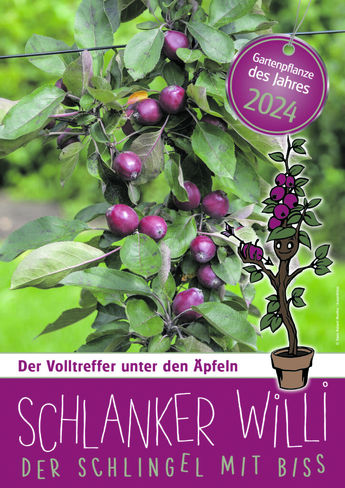 A4suj pflanze2024 schlankerwilli-724x1024.jpg
