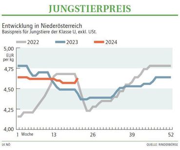 Grafik Stierpreis 21_2024.jpg © LK NÖ