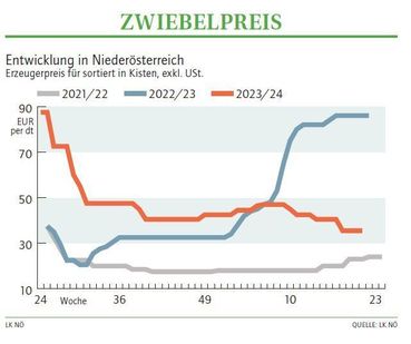 Grafik Zwiebelpreis 21_2024.jpg © LK NÖ