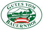 Logo GvB Fahne -Farbe richtig.jpg