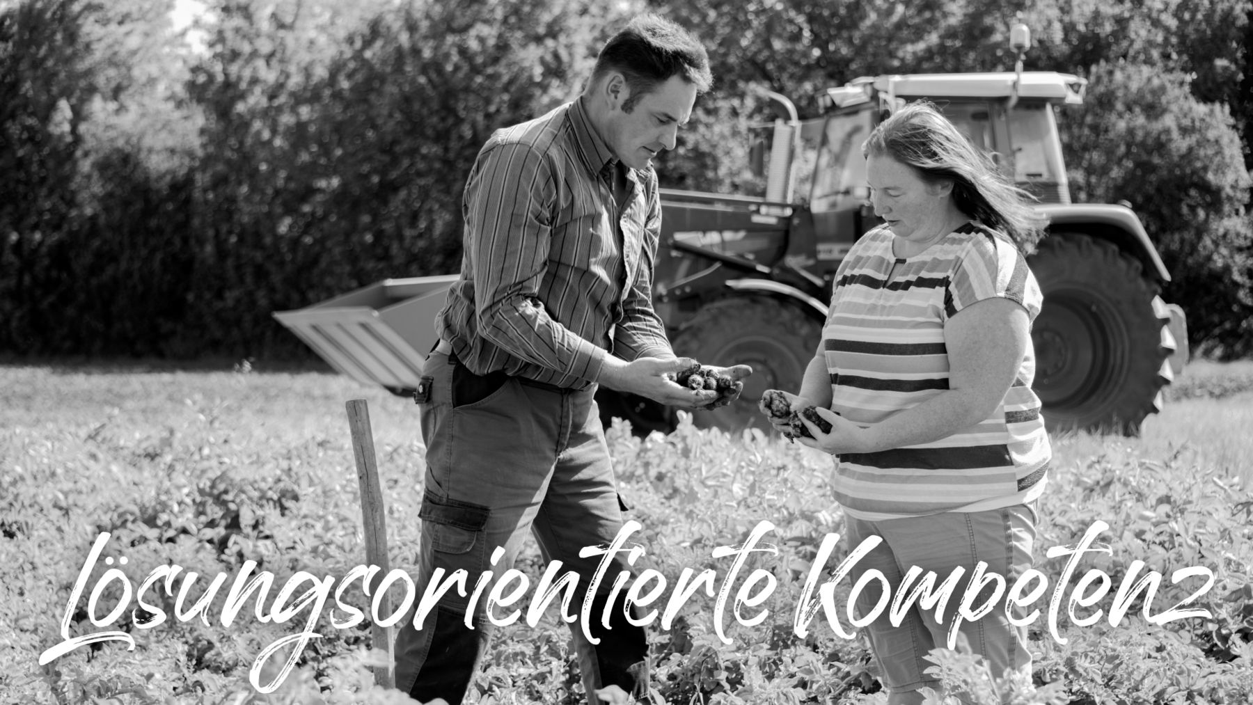 Loesungsorientierte Kompetenz.jpg © LK Niederösterreich Loesungsorientierte Kompetenz.jpg © LK Niederösterreich