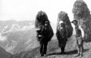 Lung22.jpg © Archiv Lung22.jpg © Archiv