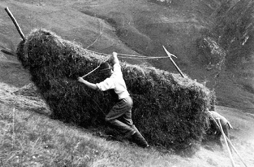 muhr.jpg © Archiv muhr.jpg © Archiv