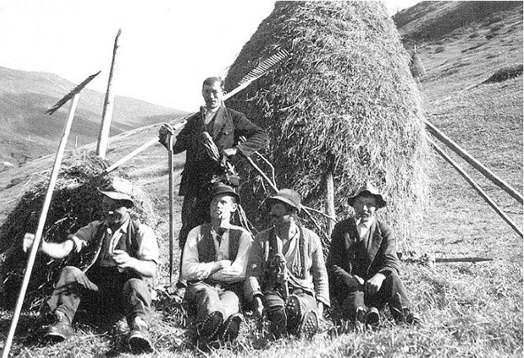 muhrer mahder.jpg © Archiv muhrer mahder.jpg © Archiv