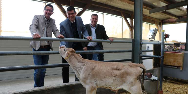 Kalb rose.jpg © Pesentheiner/LK