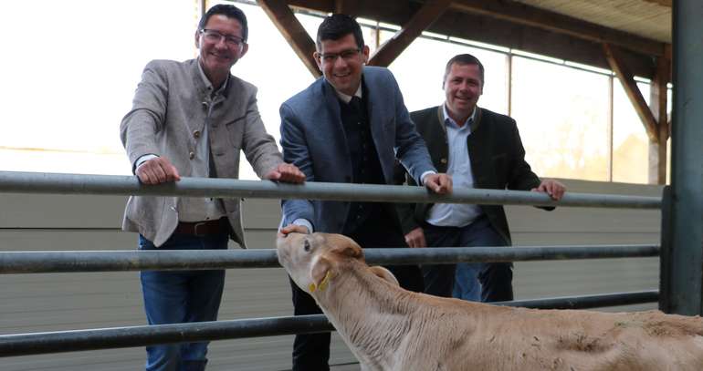 Kalb rose.jpg © Pesentheiner/LK