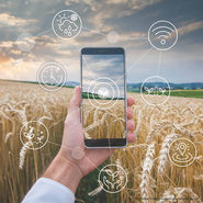 Landwirtschaftliche Produktion.jpg © Eva Kail/LK Niederösterreich/KI generiert Landwirtschaftliche Produktion.jpg © Eva Kail/LK Niederösterreich/KI generiert