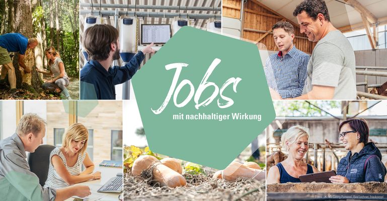 Fotocollage Bewerbung 769x400px2 © Georg Pomaßl, Frau Köppl und Eva Lechner Fotocollage Bewerbung 769x400px2 © Georg Pomaßl, Frau Köppl und Eva Lechner