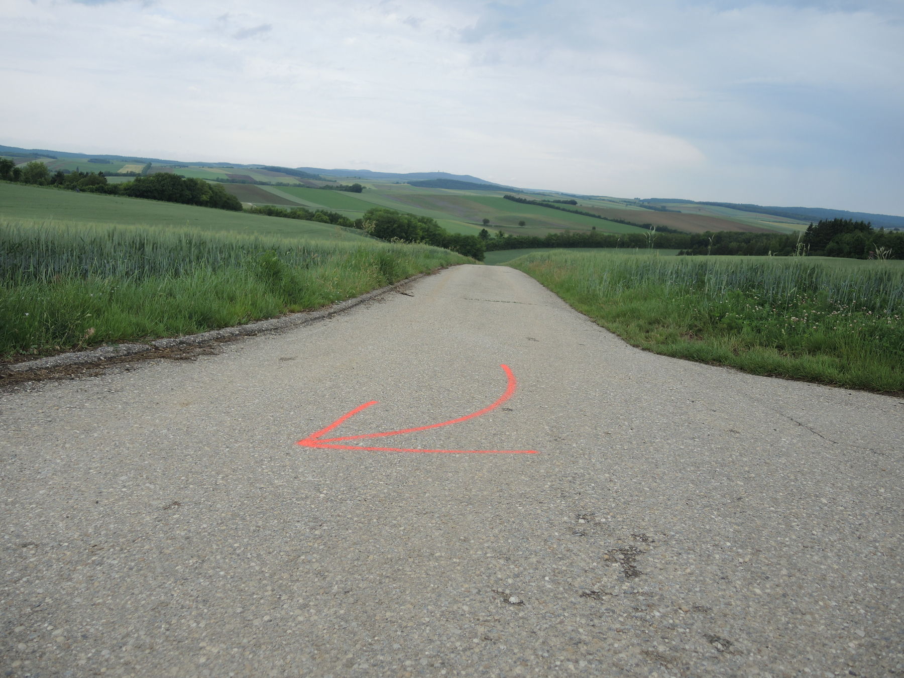 © Andrea Uhl LK NÖ © Andrea Uhl LK NÖ