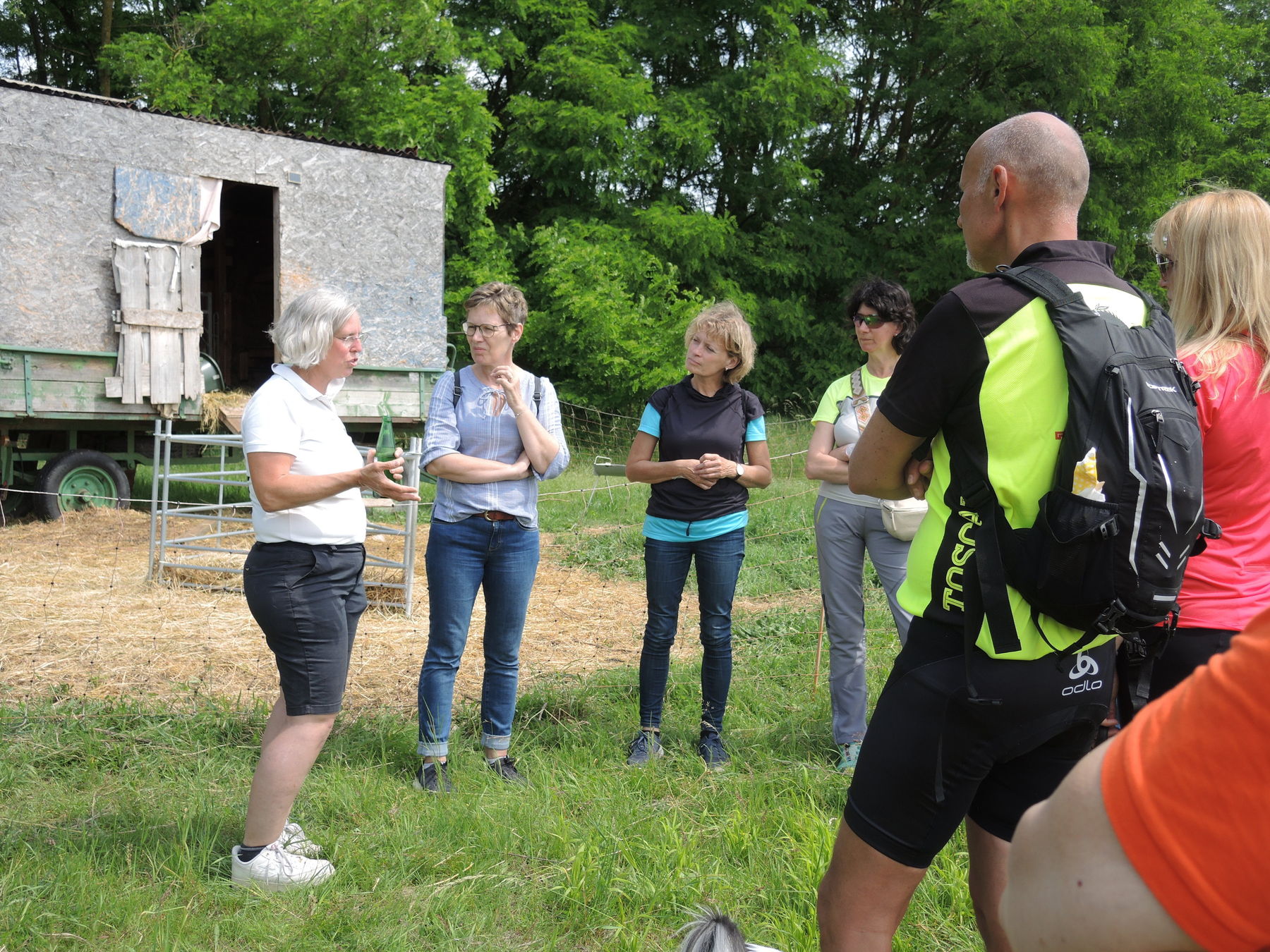 © Andrea Uhl LK NÖ © Andrea Uhl LK NÖ