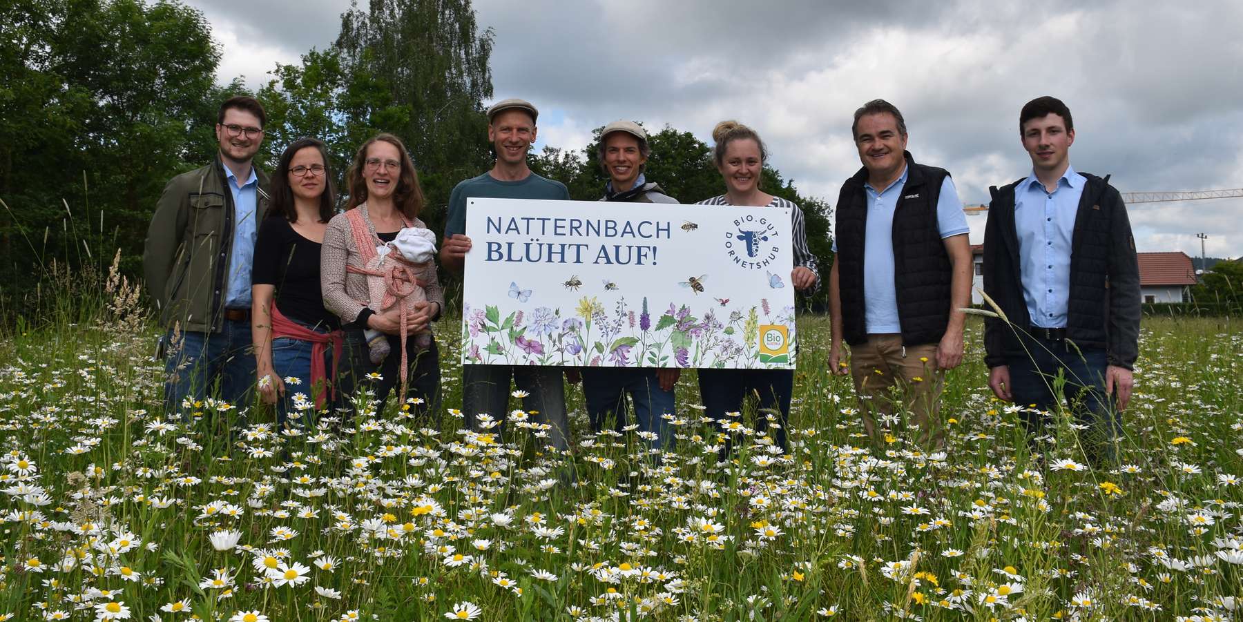 Besichtigung der Blühfläche in Natternbach Familie Schauer, Bienenzentrum OÖ, Bio Austria und Abt. Pflanzenbau der LK OÖ