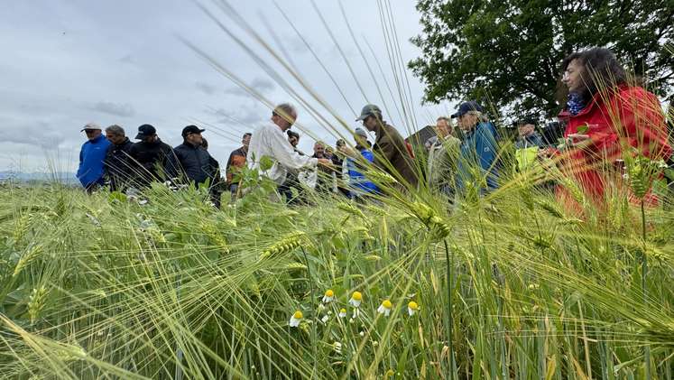 Eindrücke vom Fachnachmittag der Zeigerpflanzen in Ried im Traunkreis, 28. Mai 2024