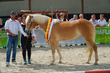 2. LRS La Bonita HA STBA Sonntag   LJS 2024-74.jpg © LPZV Kärnten 2. LRS La Bonita HA STBA Sonntag   LJS 2024-74.jpg © LPZV Kärnten