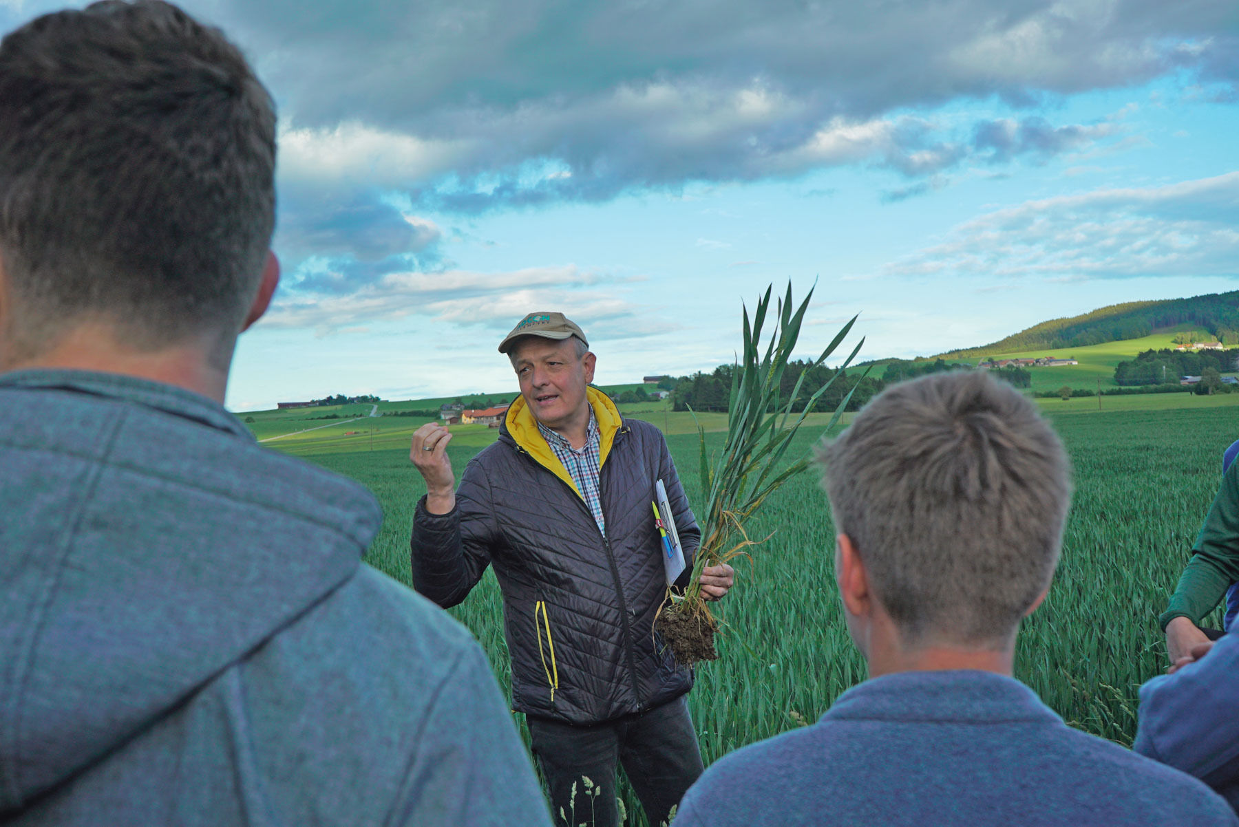 So sichert man sich am Acker stabile Erträge.jpg © Michael Hatheier So sichert man sich am Acker stabile Erträge.jpg © Michael Hatheier