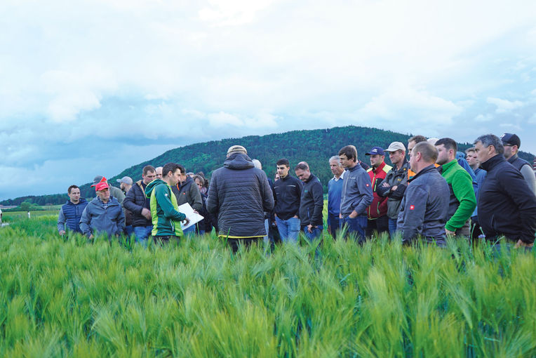 So sichert man sich am Acker stabile Erträge.jpg © Michael Hatheier So sichert man sich am Acker stabile Erträge.jpg © Michael Hatheier