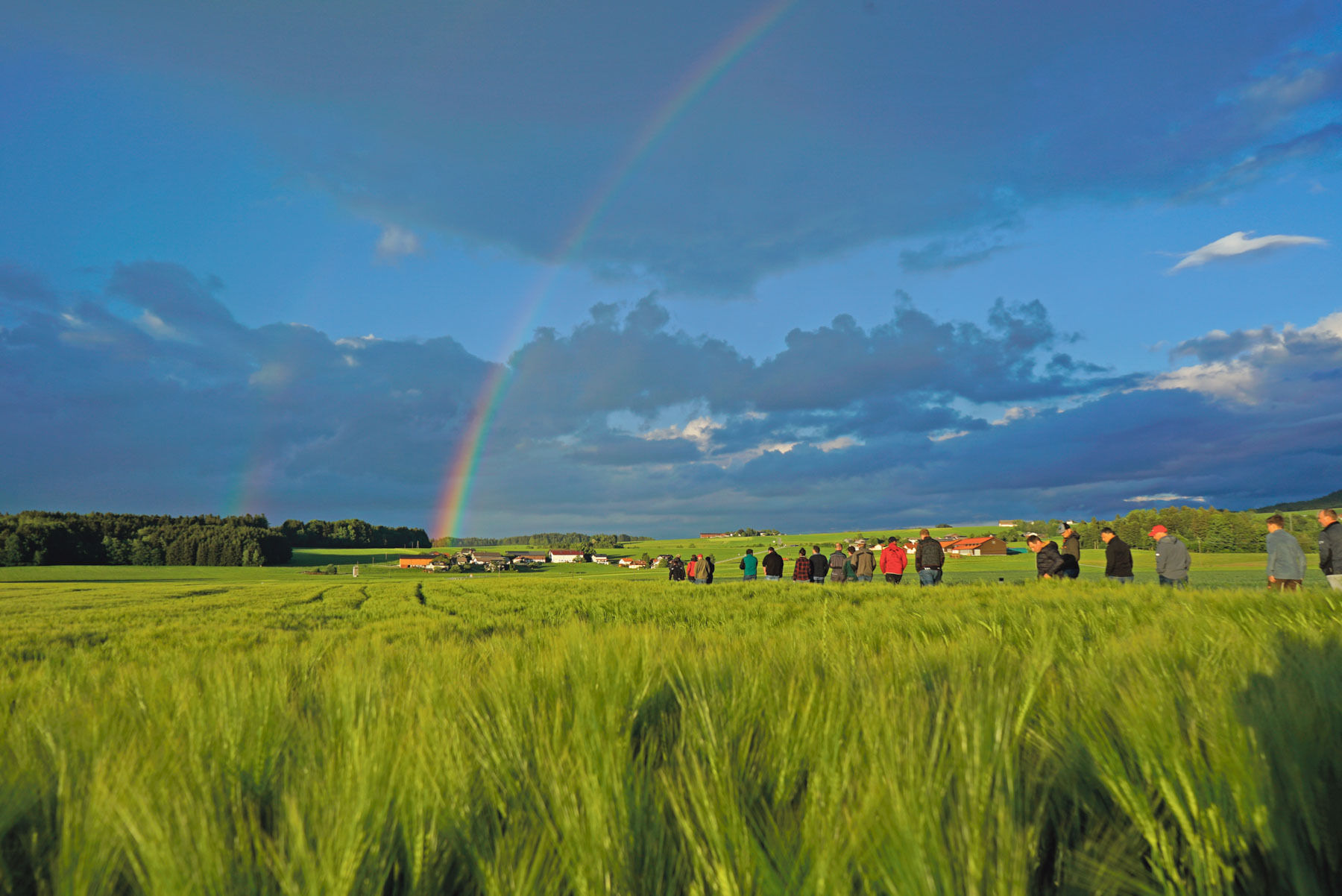 So sichert man sich am Acker stabile Erträge.jpg © Michael Hatheier So sichert man sich am Acker stabile Erträge.jpg © Michael Hatheier