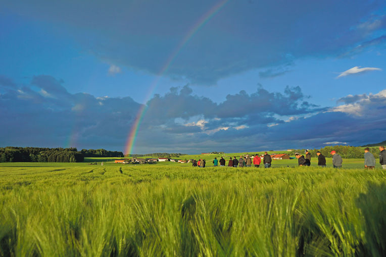 So sichert man sich am Acker stabile Erträge.jpg © Michael Hatheier So sichert man sich am Acker stabile Erträge.jpg © Michael Hatheier
