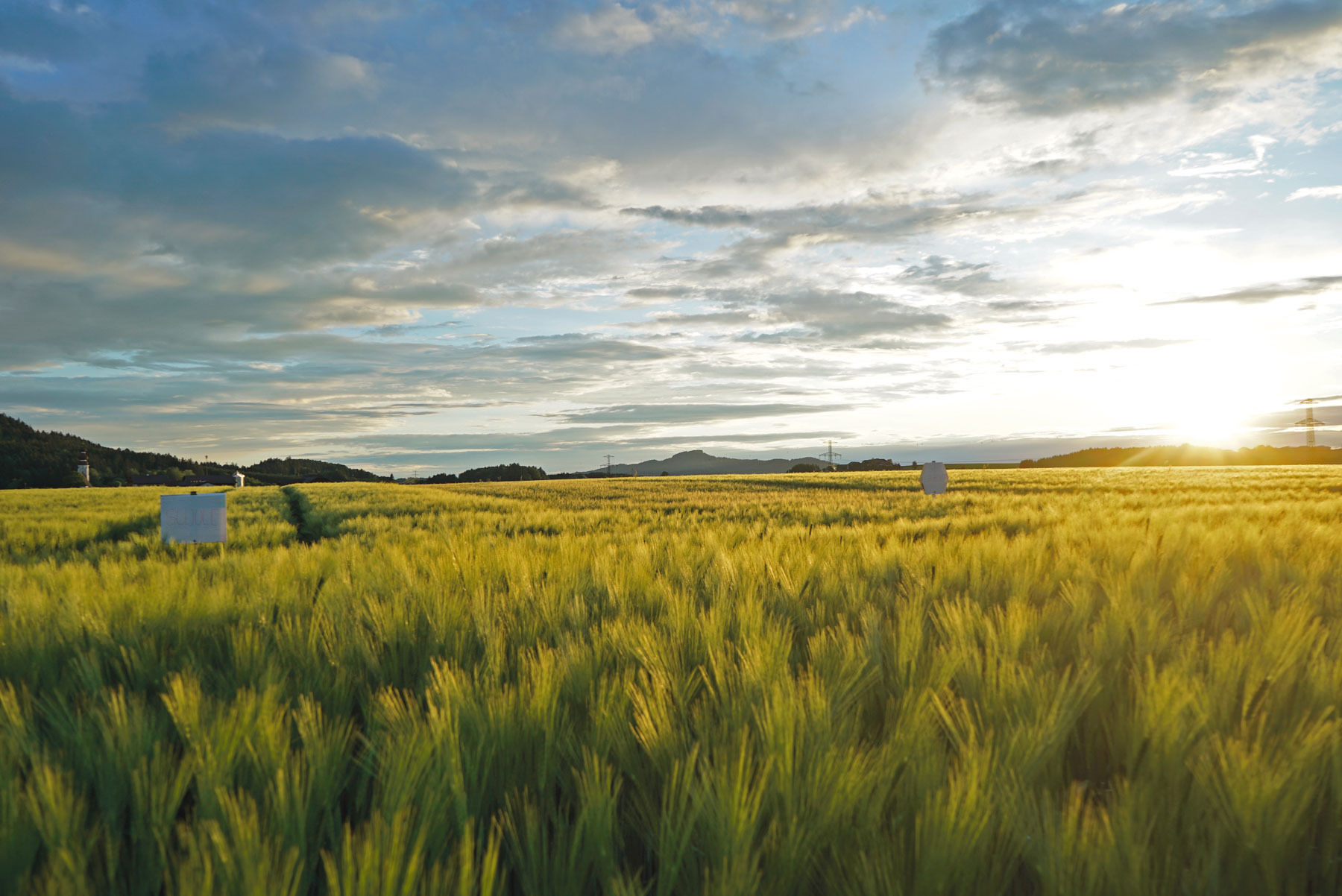 So sichert man sich am Acker stabile Erträge.jpg © Michael Hatheier So sichert man sich am Acker stabile Erträge.jpg © Michael Hatheier