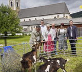 Schaf1.jpg © Dürnberger Schaf1.jpg © Dürnberger