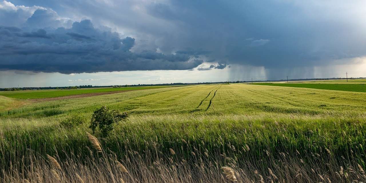 storm-5220380_1280.jpg © pixabay storm-5220380_1280.jpg © pixabay