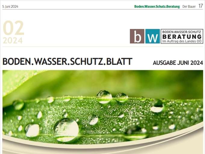 Boden.Wasser.Schutz.Blatt.jpg © BWSB