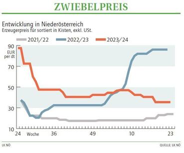 Grafik Zwiebelpreis 23 2024.jpg