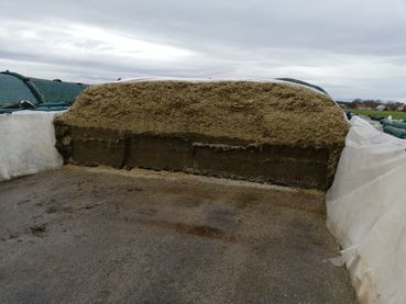 Bei überfüllten Traunsteinersilos die Aufteilung ebenfalls korrekt ermitteln und die fehlende Menge an den Seiten oberhalb der Silowände berücksichtigen (1).jpg