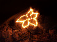 bergfeuer.jpg © Standl bergfeuer.jpg © Standl