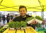 sb23_greens.jpg © Dürnberger
