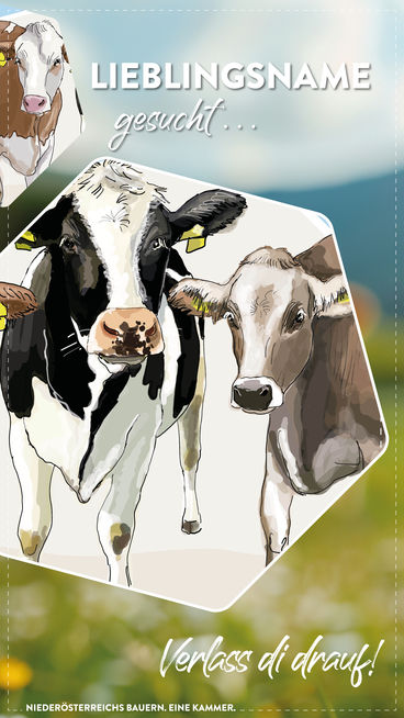 Story 2024 Weltmilchtag.jpg © Eva Kail/LK Niederösterreich Story 2024 Weltmilchtag.jpg © Eva Kail/LK Niederösterreich