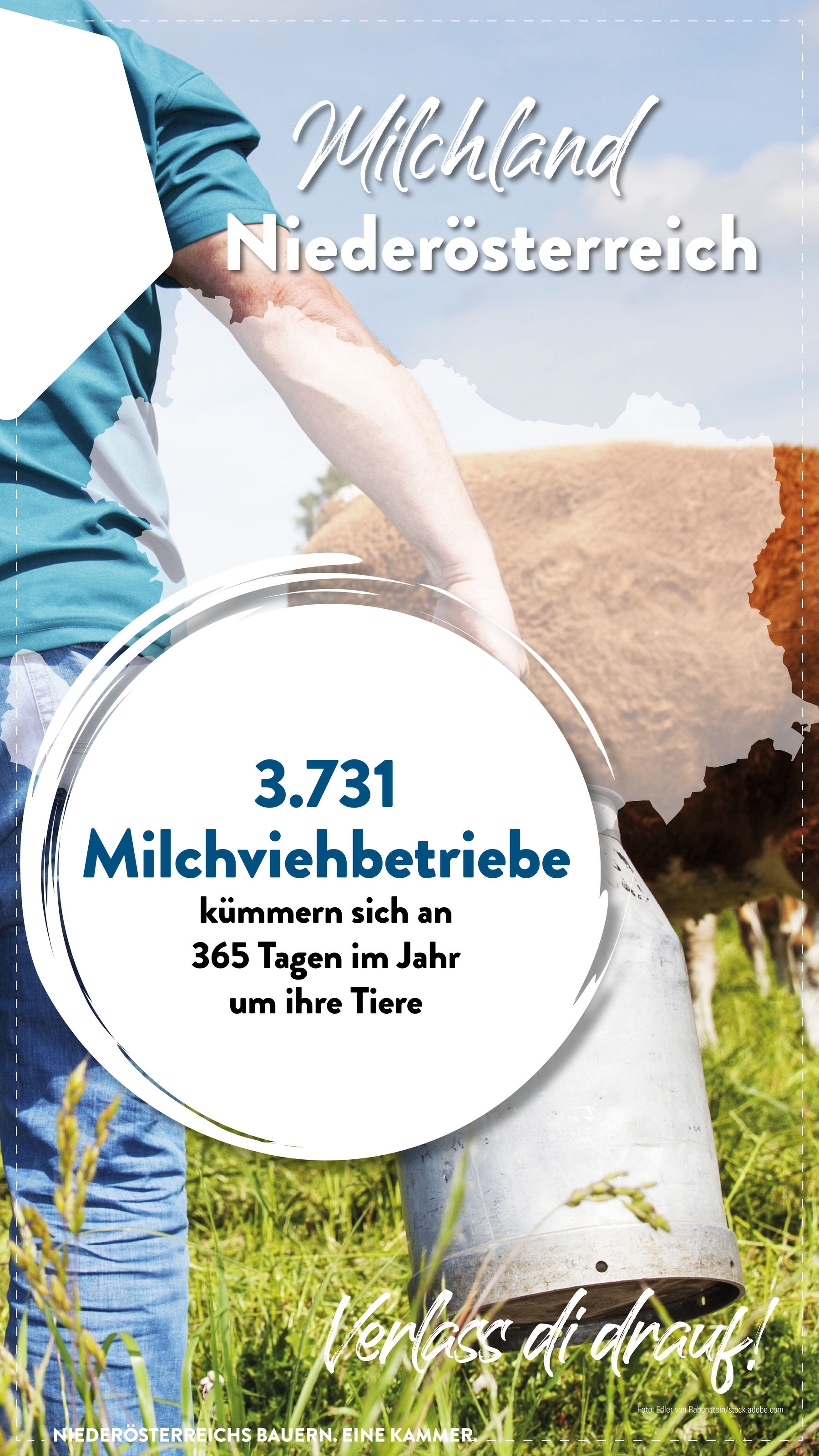 Story 2024 Weltmilchtag2.jpg © Eva Kail/LK Niederösterreich Story 2024 Weltmilchtag2.jpg © Eva Kail/LK Niederösterreich