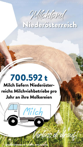 Story 2024 Weltmilchtag4.jpg © Eva Kail/LK Niederösterreich Story 2024 Weltmilchtag4.jpg © Eva Kail/LK Niederösterreich