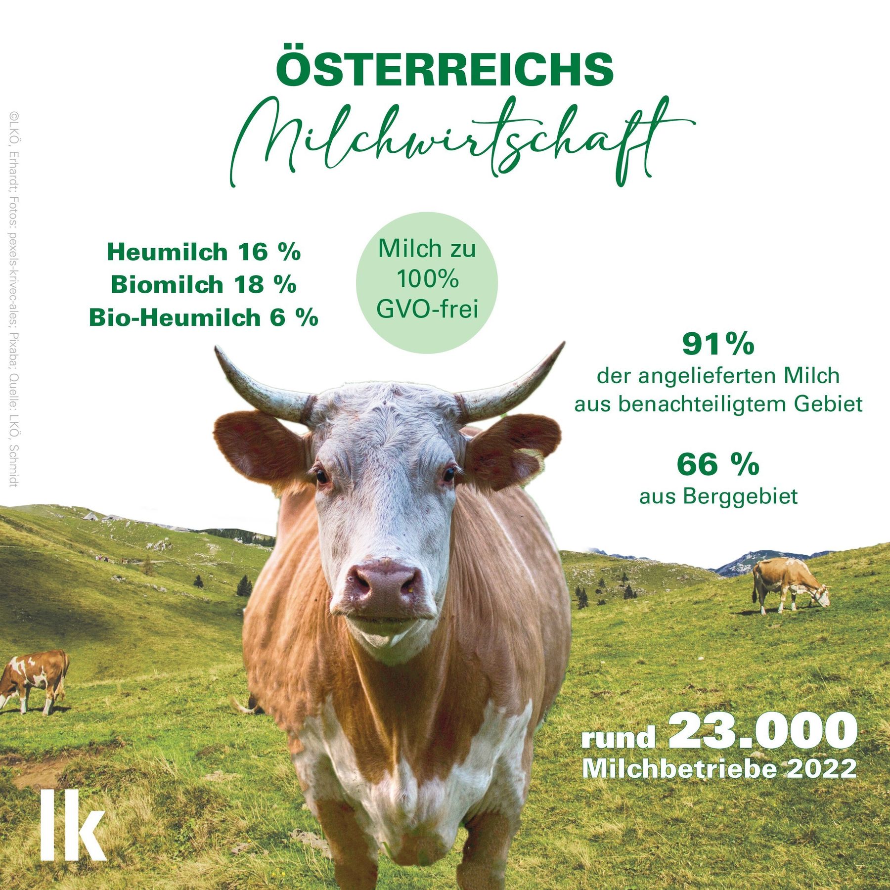 Milchwirtschaft.jpg © Eva Kail/LK Niederösterreich Milchwirtschaft.jpg © Eva Kail/LK Niederösterreich