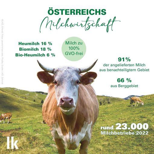 Milchwirtschaft.jpg © Eva Kail/LK Niederösterreich Milchwirtschaft.jpg © Eva Kail/LK Niederösterreich