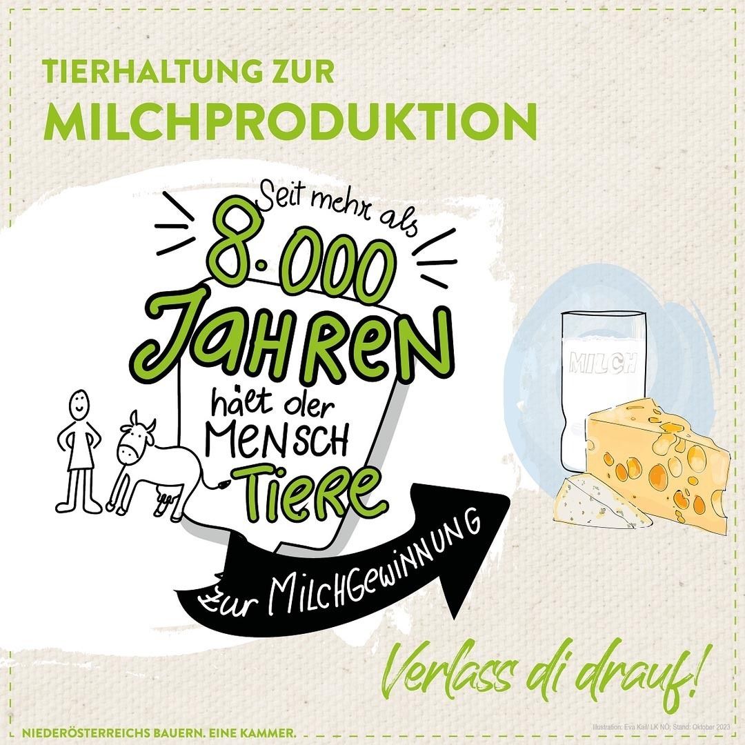Milchgewinnung.jpg © Eva Kail/LK Niederösterreich Milchgewinnung.jpg © Eva Kail/LK Niederösterreich