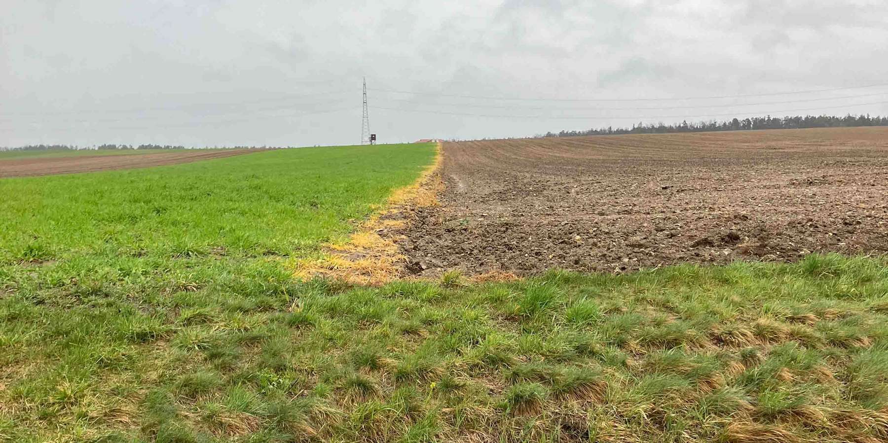 Abdriftschaden.jpg © Martin Fischl/LK Niederösterreich Abdriftschaden.jpg © Martin Fischl/LK Niederösterreich