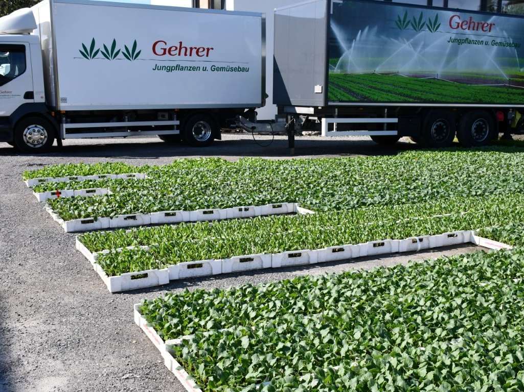 Betrieb (Mittel).jpg © LK Vbg. Betrieb (Mittel).jpg © LK Vbg.